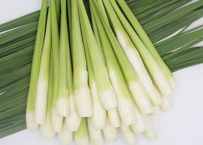 新鮮蔬菜配送:茭白